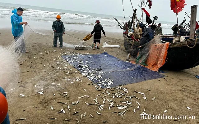 Bãi tắm D nơi có bến đỗ tàu thuyền